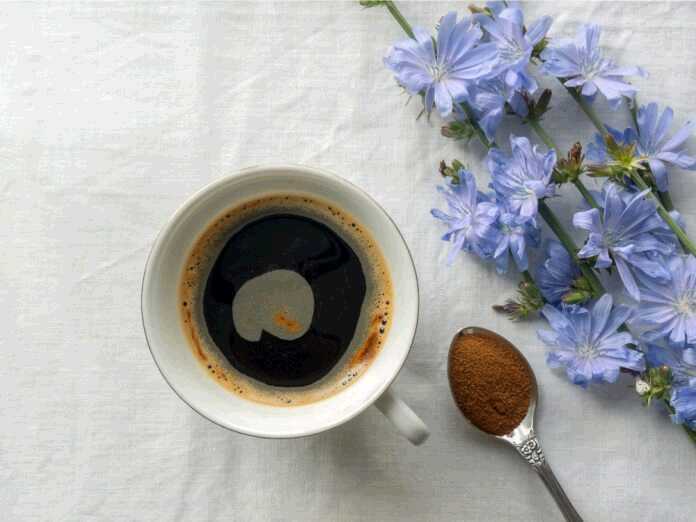 benefits of drinking chicory coffee