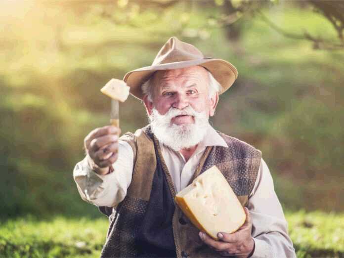 eating cheese in moderation is good for your health