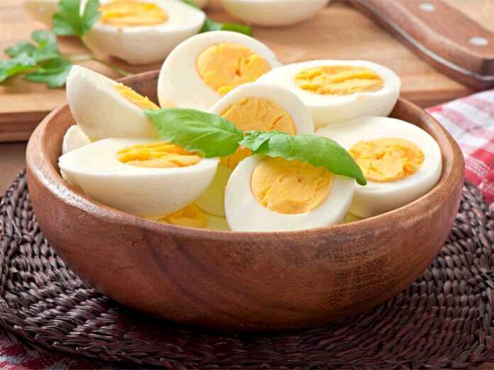 Do egg diets really work